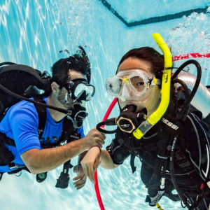 PADI Seal Team