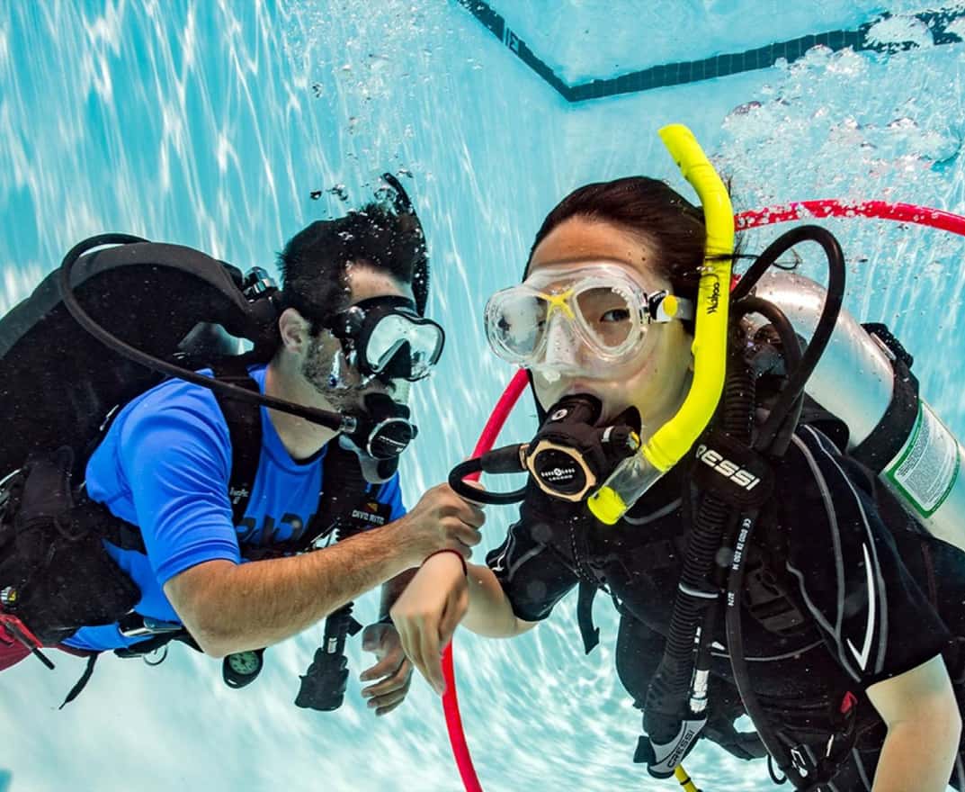 PADI Seal Team